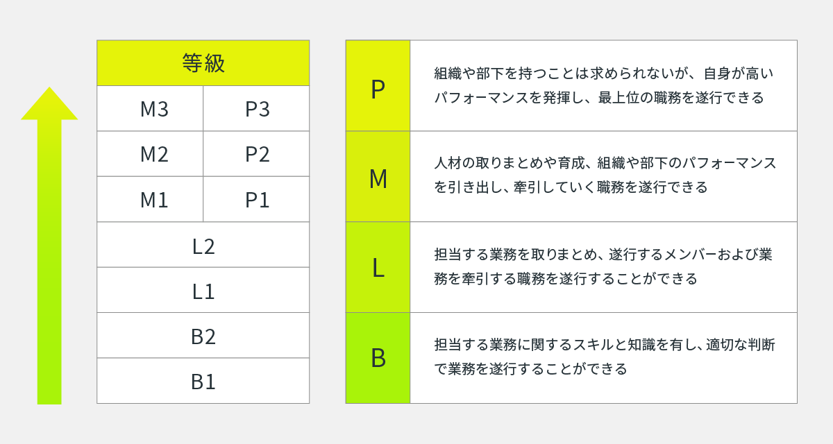 等級：P（Professional）、M（Management）、L（Leader）、B（Basic）